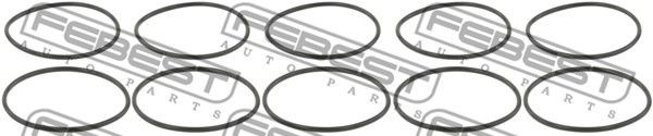 VOLVO S60 (2010>)/S80 (2006>) К-КТ 10 ШТ. RINGOL-053-PCS10 FEBEST