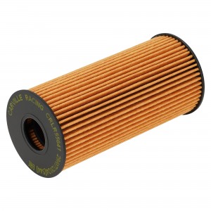 DONGFENG DF6 (2022>) CRLR55641 CARVILLE RACING