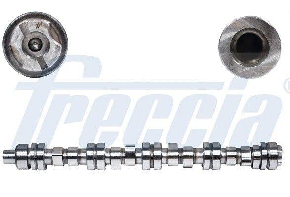 распредвал!\ Ford Escort/Orion/Fiesta 1.1-1.6 80-95 CM052153 FRECCIA