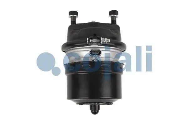 Энергоаккумулятор (дисковый тормоз) T24/16 DAF/Scania аналог 9254612900 2251533 COJALI