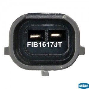 форсунка топливная!\ Peugeot 207/307 1.6 16V, Citroen C4/Xsara 1.6 16V 04> FIB1617JT KRAUF