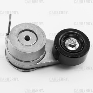 Натяжитель поликлин.ремня с роликом 55CA295 55CA295 CARBERRY