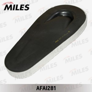 Фильтр воздушный BMW F10/F07/F01 2.0D/3.0D (FILTRON AK362/7, MANN C51001) AFAI28 AFAI281 MILES