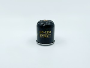 Фильтр масляный RENAULT Magnum,Premium центрифуга (втулки 10мм, 13мм) BIG FILTER GB-1251 BIG FILTER