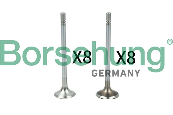 Комплект клапанов 8+8B18629 B18629 BORSEHUNG