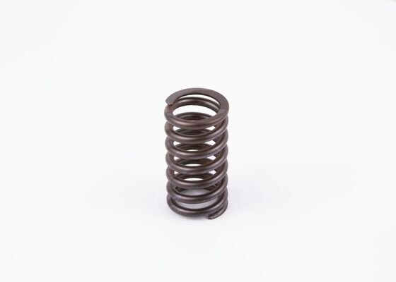 Пружина MAN BOSCH 2434619040 BOSCH
