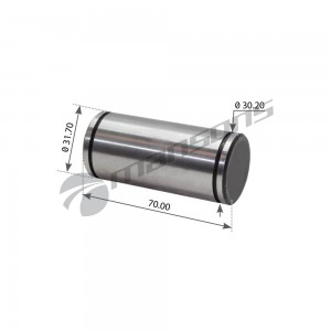 Палец SAF колодки тормозной (32х71) MANSONS MBP3025 MANSONS