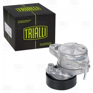 Ролик приводного ремня с натяжным механизмом CM 5709 TRIALLI