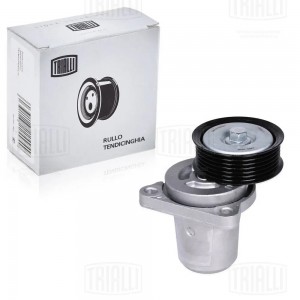 Ролик привод. ремня Mazda 6 (02-) 1.8i/2.0i/2.3i/2.5i (с натяж. мех.) h26.5 (CMS CMS 1206 TRIALLI