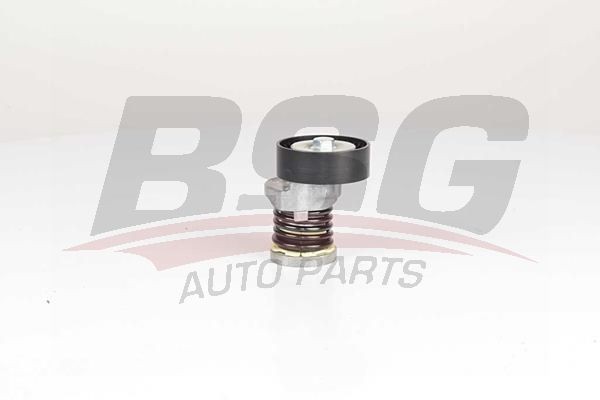 Натяжитель ремня приводного VW Golf (08-13),T5 AUDI A4 (00-) SKODA Octavia (04-) BSG90615050 BSG