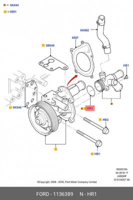 Прокладка FORD насоса водяного OE 1 136 389 FORD