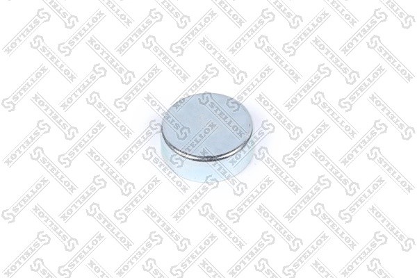 р/к дискового тормоза! 5(м) заглушки Knorr\ SN 6/7 85-11041-SX STELLOX