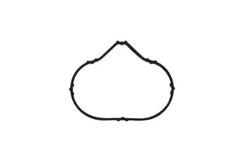 прокладка коллектора впускного! (x4) Peugeot 307/407/807 2.0 EW10A 05> Z15699 ZENTPARTS