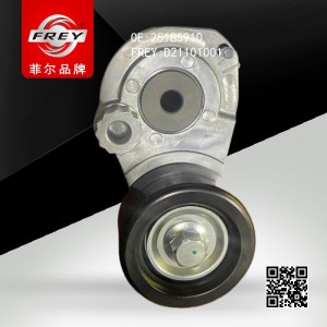 Натяжитель приводного ремня с роликом D21101001 D21101001 FREY