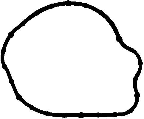 Прокладка FORD Mondeo (07-) насоса топливного ELRING 692480 ELRING