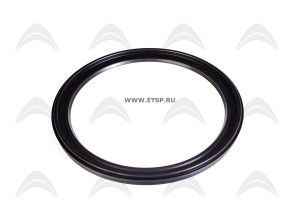 Сальник ступицы внешний 142,15*175,5*11,4 TR2508016 ALON