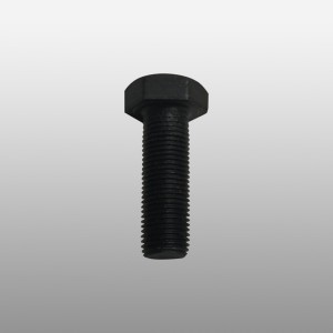 Болт М10*30*1 Q150B10130TF2 SHAFT