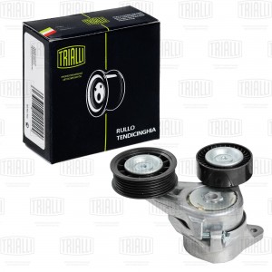 Ролик привод. ремня Ford Focus II (05-) 1.8d (с натяж. мех.) двойн. (CM 5341) CM 5341 TRIALLI