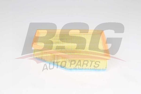Фильтр воздушный BMW 5 (G30),7 (G11),X5 (G05) (3.0) BSG BSG15135026 BSG
