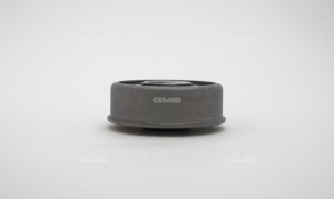 Ролик ГРМ опорный Hyundai Sonata (EF,Tagaz), Santa Fe (SM) (00-) GT10072 GT10072 GMB