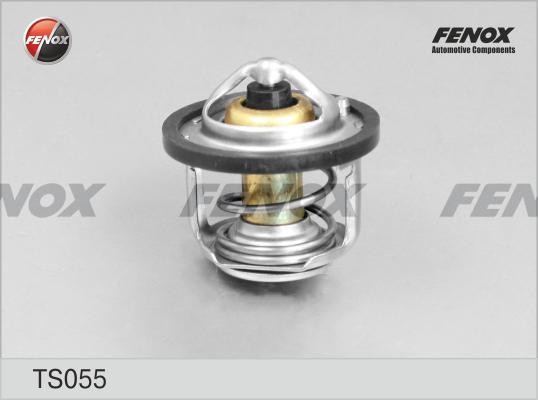 Термостат TS055 FENOX