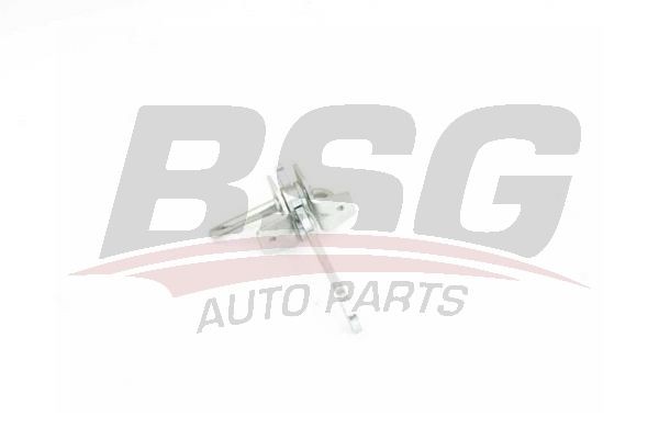 Ограничитель OPEL Omega B открывания двери передней BSG BSG65975020 BSG