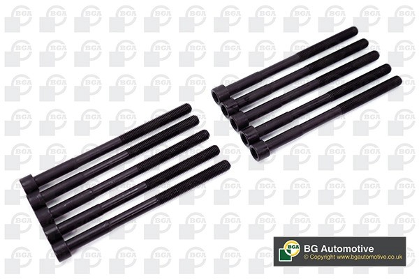 Комплект болтов головки цилидра BK3319 BK3319 BG AUTOMOTIVE