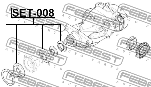 САЛЬНИК РЕДУКТОРА ЗАДНЕГО МОСТА КОМПЛЕКТ SET-008 SET-008 FEBEST
