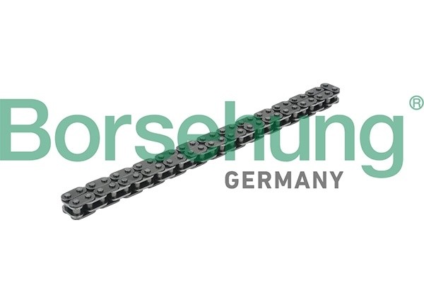 цепь! привод маслонасоса\ Audi A3 1.4TSI/1.6FSI, VW Golf 5 Plus 1.4TSI 06> B18228 BORSEHUNG