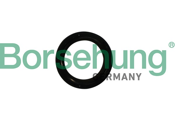 cальник коленвала!\ Audi A1 1.4 TFSI 10>/A3 1.2 -1.4 TFSI 12> B12179 BORSEHUNG