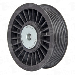 Ролик натяжителя ремня пластиковая обойма ролика 51098584 TE PARTS