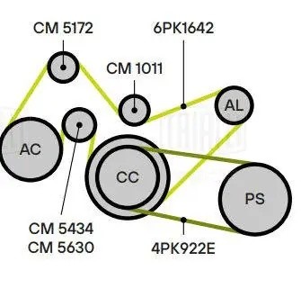 TRANSIT (2000>) CM 1011 TRIALLI