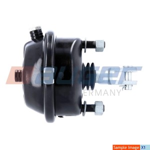 Камера тормозная T20 4231054500 аналог 21271 AUGER