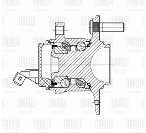 Ступица Hyundai Solaris II (17-)/Kia Rio IV (17-) (задн. в сборе с подшип.) (MR  MR 0875 TRIALLI