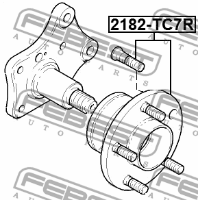 Ступица задняя 2182-TC7R 2182-TC7R FEBEST