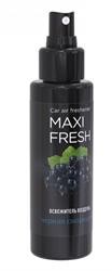 Ароматизатор спрей (черная смородина) 110мл MAXI FRESH SMF11 MAXI FRESH
