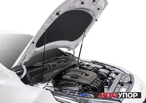 Амортизатор KIA Cerato (18-) капота (пружина газовая) комплект 2шт. АВТОУПОР UKICER021 AVTOUPOR