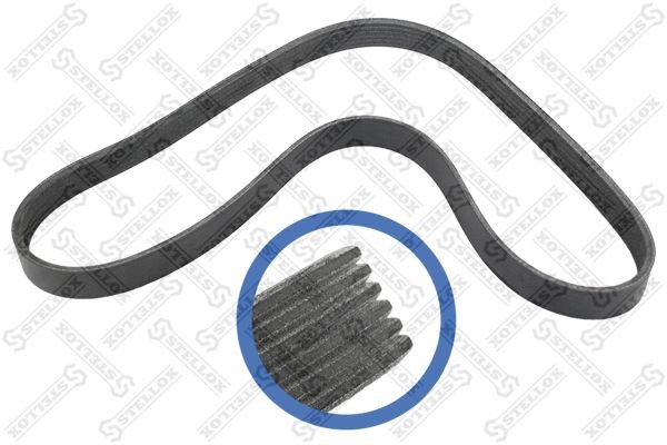 ремень поликлиновой! 6PK1019EE\ Ford Fiesta/Fusion 1.25-1.6 01>, Mazda 2 03> 06-01019-SX STELLOX
