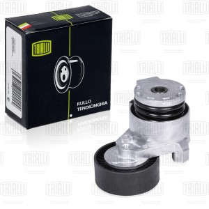 Ролик приводного ремня с натяжным механизмом CM 1406 TRIALLI