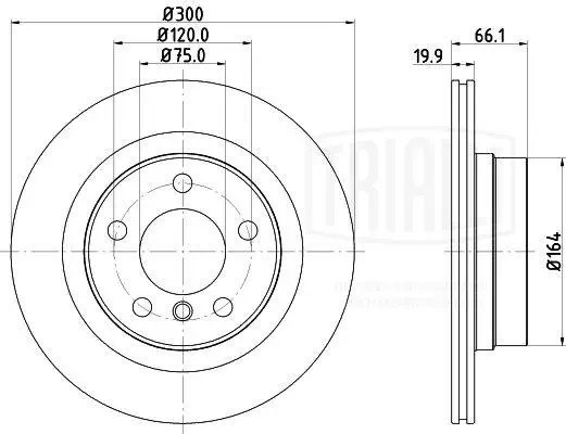 Диск торм. BMW 3 (F30) (11-)/4 (F32) (13-)/1 (F20) (11-) зад. d=300 (окраш.) (DF DF190410 TRIALLI