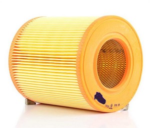 Фильтр воздушный VW Golf 5,Passat B6 (2.0 TDI) AUDI A3 (04-) SKODA Octavia (06-) BSG90135016 BSG
