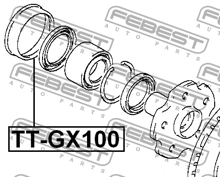 Пыльник подшипника ступицы TT-GX100 TT-GX100 FEBEST