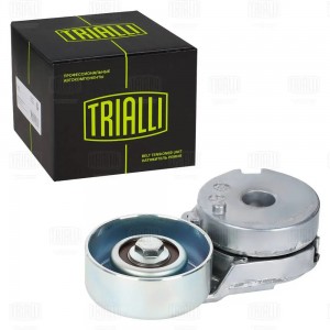 Ролик привод. ремня Nissan Qashqai (06-)/X-Trail (07-) 2.0i (с натяж. мех.) (под CM 1403N TRIALLI