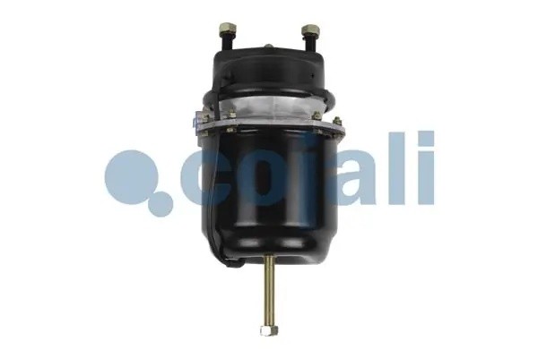 Энергоаккумулятор 24/ 30 2251515 COJALI