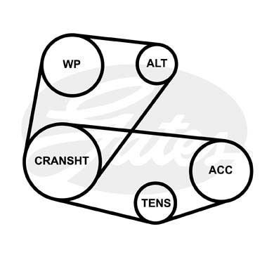 Ремень приводной поликлиновой 4PK913 GATES 4-PK-913 GATES