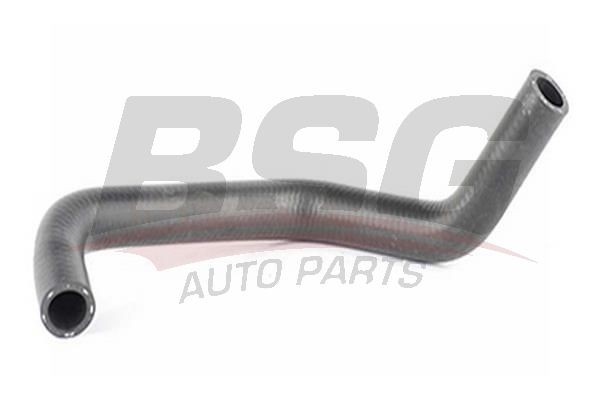 Патрубок FORD Escort ГУР BSG BSG30720054 BSG