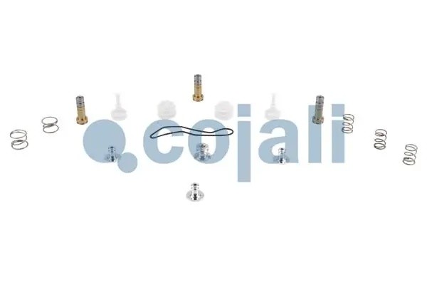РМК платы клапанов 6014059 COJALI