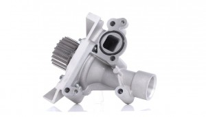 PEUGEOT 307/ 406/ 607/ 807/ CITROEN C4 PICASSO C138 DOLZ