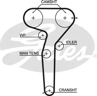 Ремень зубчатый 5423XS 167x24 (8597-15423) 5423XS GATES