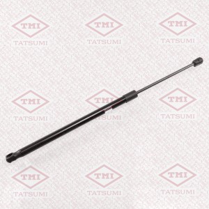 RENAULT SCENIC (2003>) TAF1108 TATSUMI